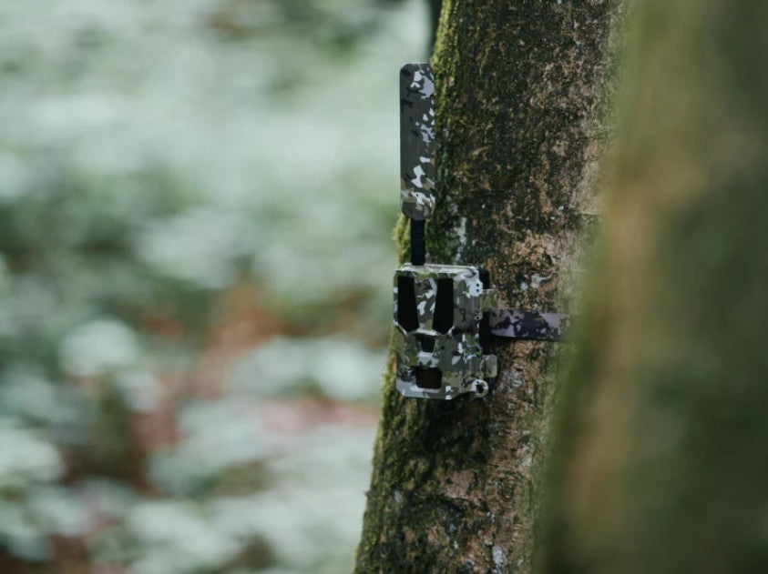 Modernhunter Hunter 4G Mini – Wildkamera mit dem günstigsten Gesamtkosten über 3 Jahre