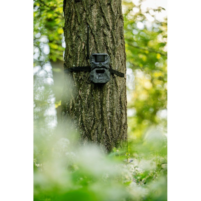 Hikmicro T16 4G Wildkamera