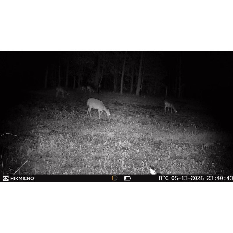 Hikmicro T16 4G Wildkamera
